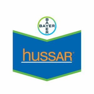 HUSSAR WG 20 (12X600GR)